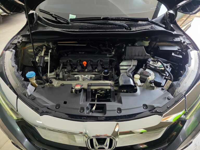 WhatsApp Image 2026-02-11 at 08.52