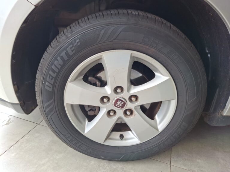 WhatsApp Image 2026-02-11 at 15.45