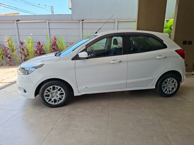 WhatsApp Image 2026-02-18 at 14.07