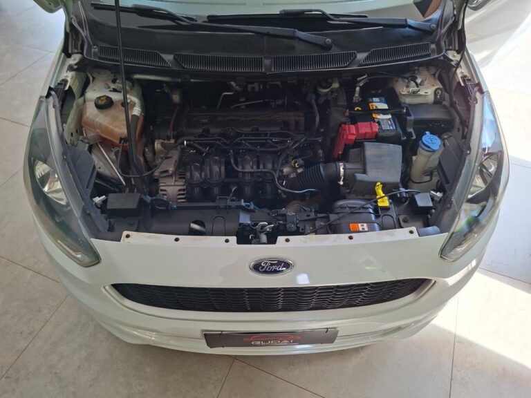 WhatsApp Image 2026-02-18 at 14.07